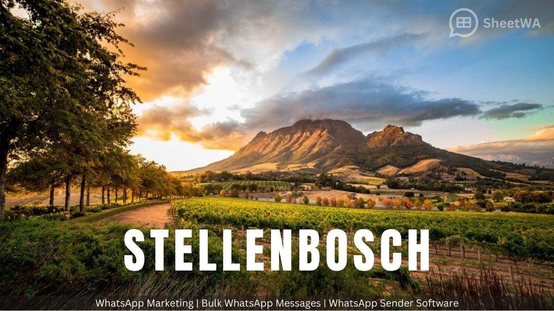 WhatsApp-Marketing-Stellenbosch